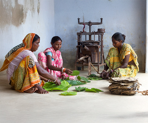 Projects Tribal Empowerment 2