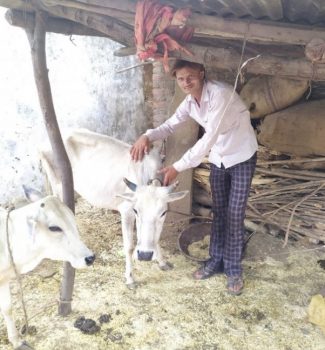 Bajrang Lal took a soft loan to rear cows